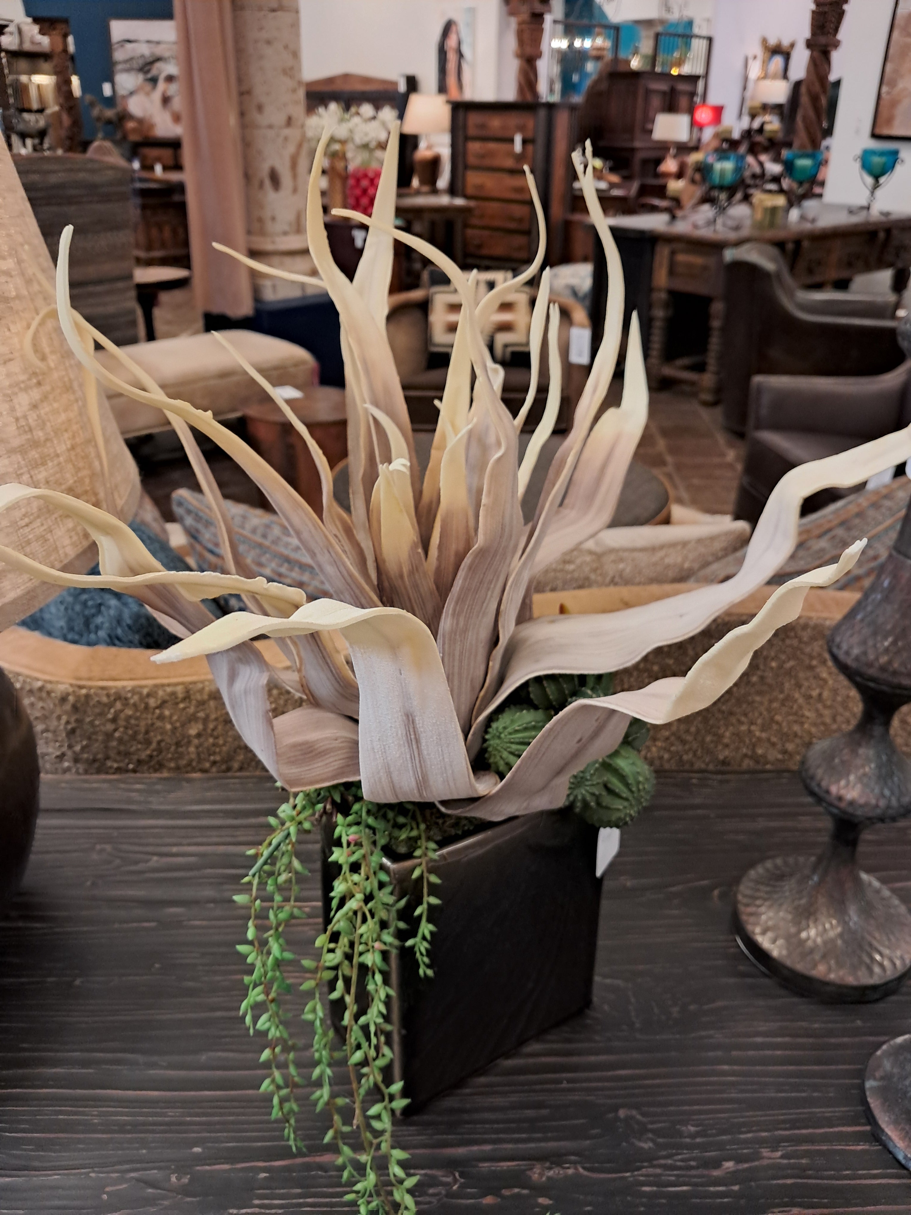 Decorative plant with long leaves on a wooden surface in an indoor setting