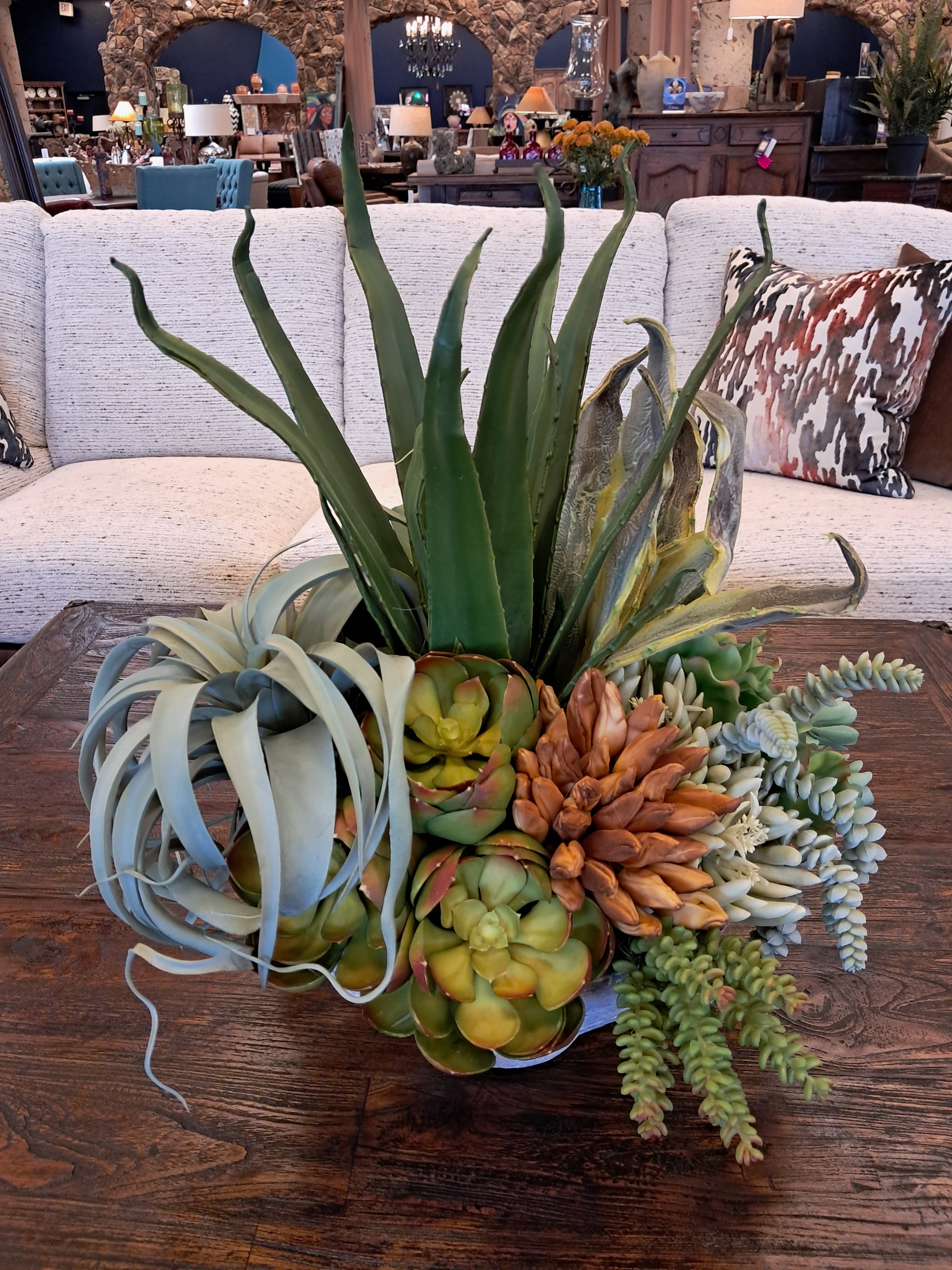 Decorative arrangement of succulents on a wooden table with a couch and decorative pillows in the background.