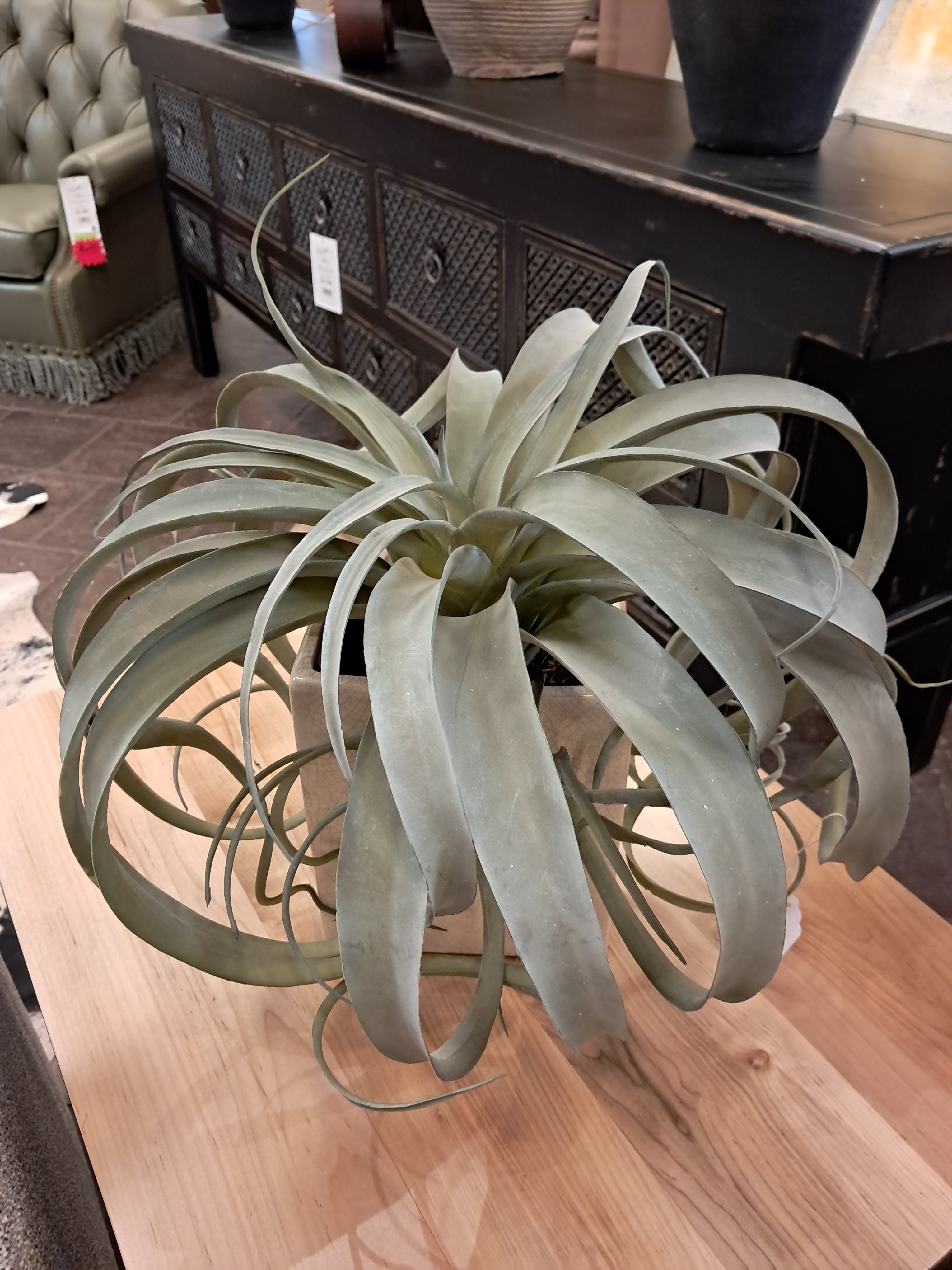 Botanical Rectangle