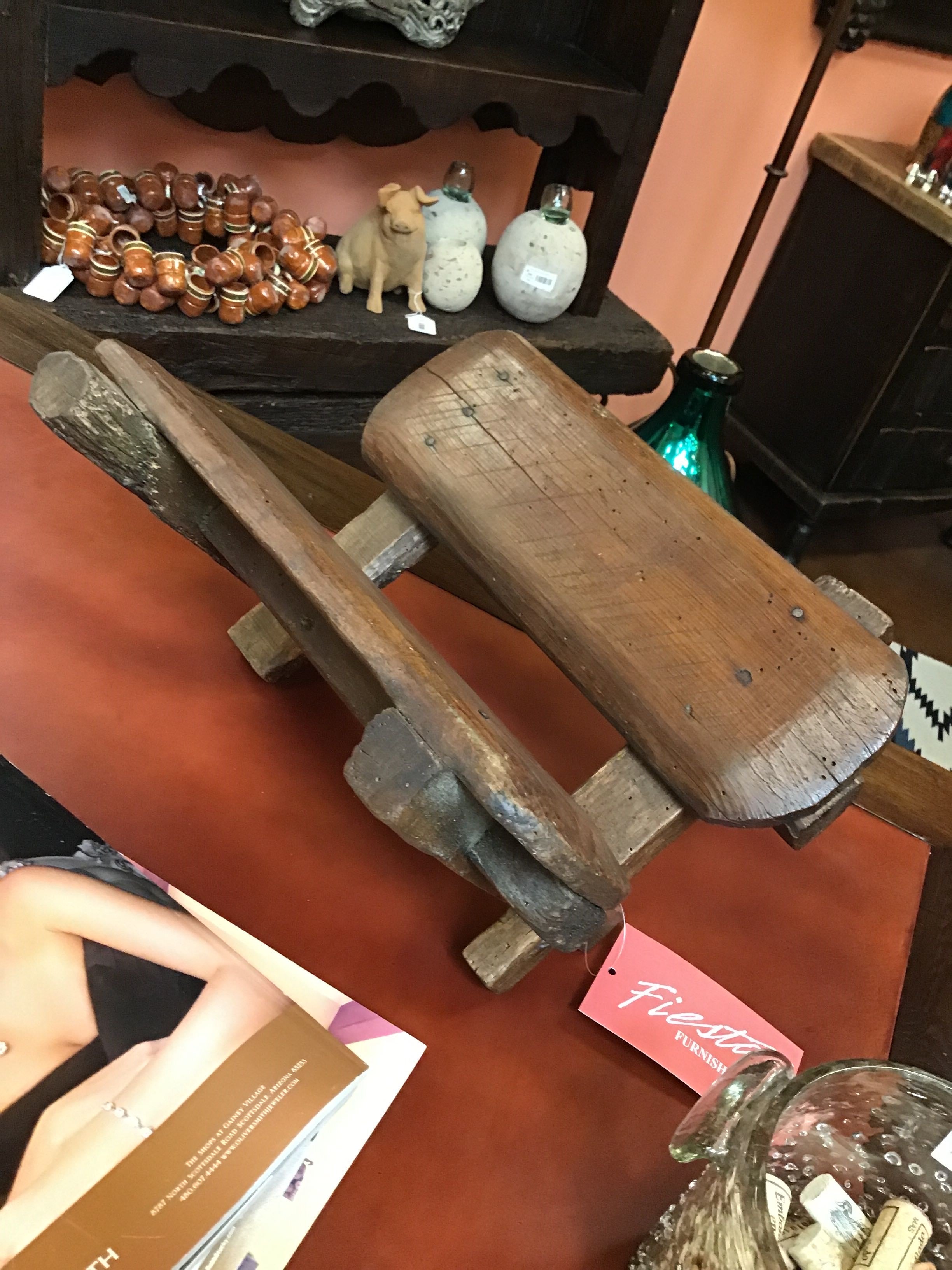 Saddle Skeleton