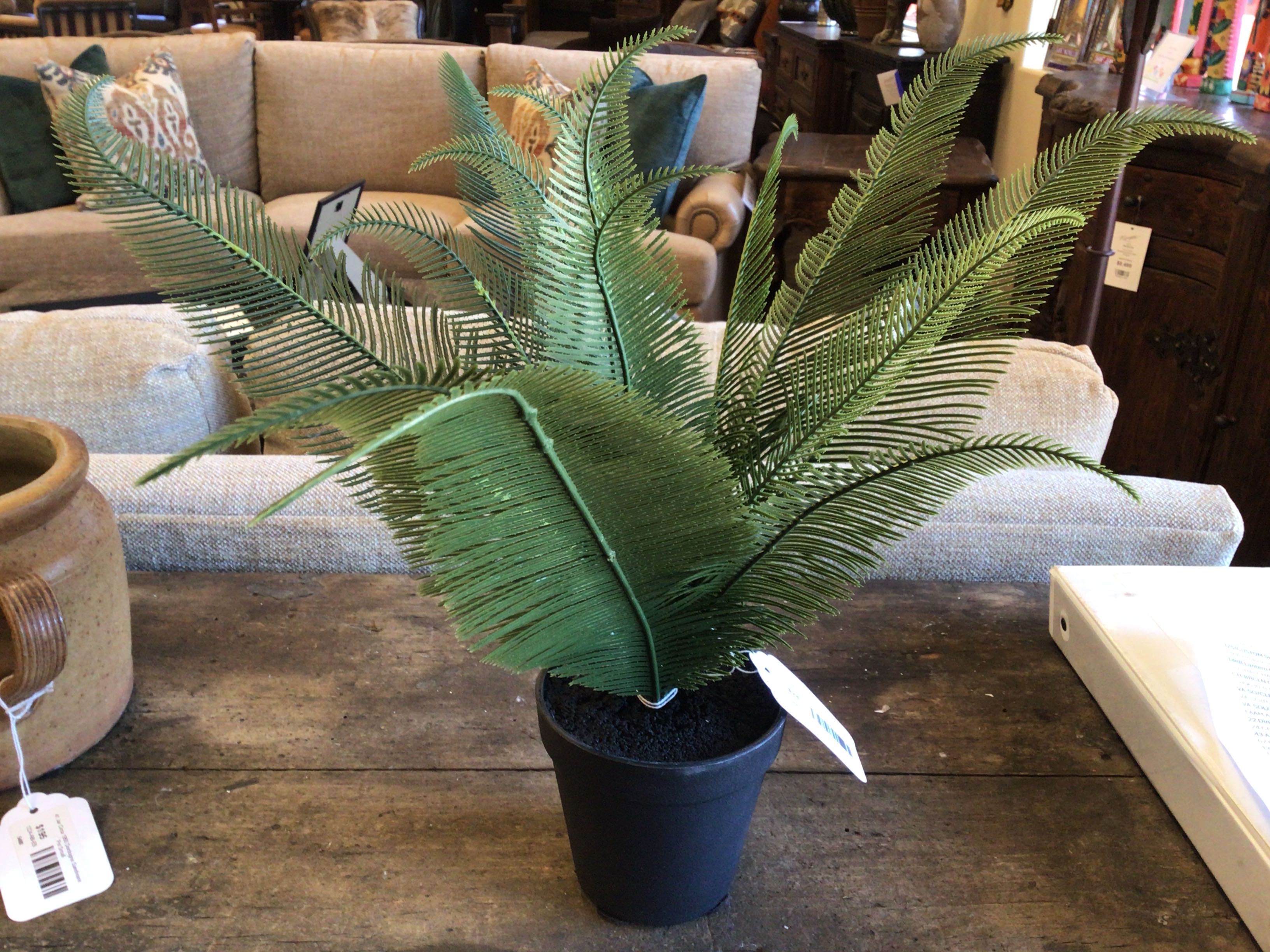 Accessory Phoenix Plant In Pot