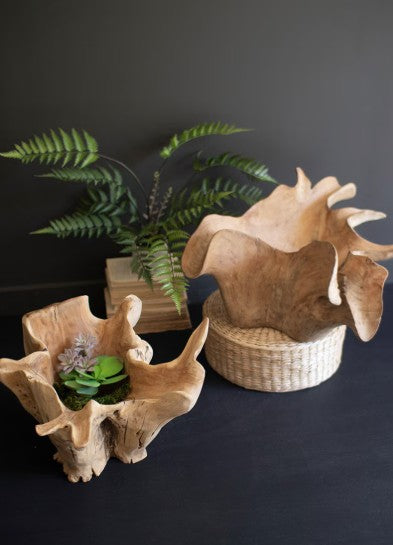 Teak Root Bowl