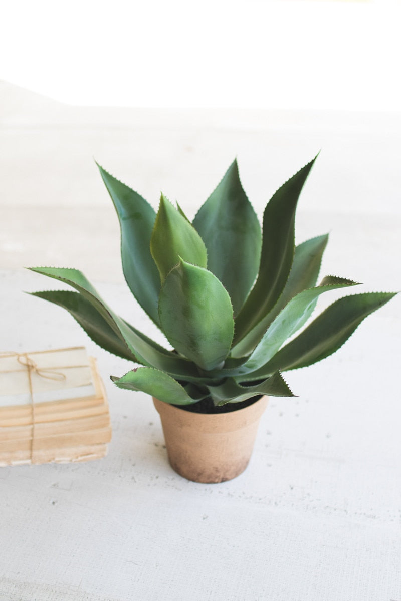 Artificial Agave in Faux Terracotta Pot