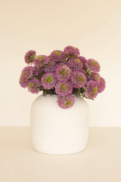 White vase with purple flowers on a beige background