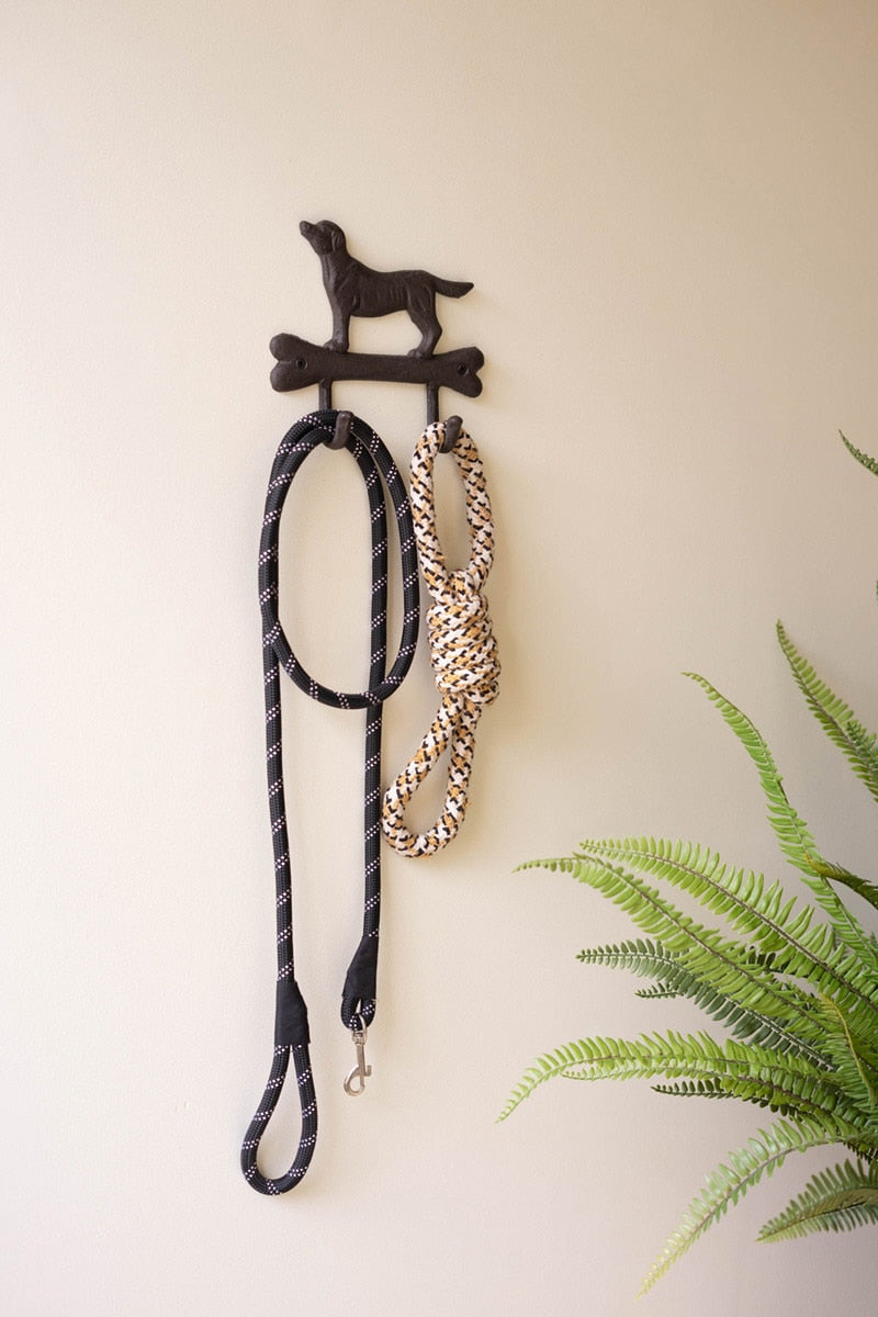 Dog leash and collar holder with a plant in the background