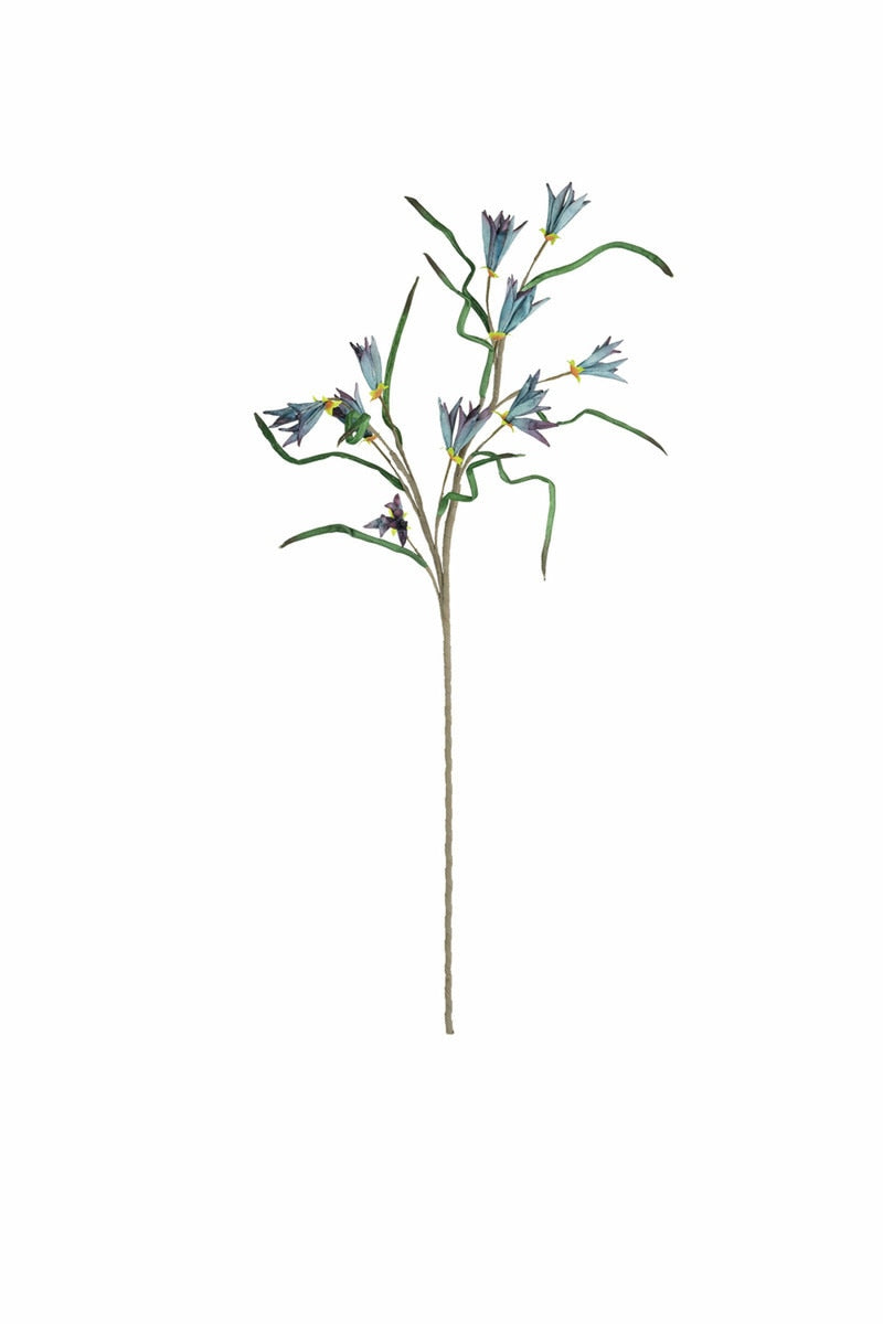 Botanica #3384