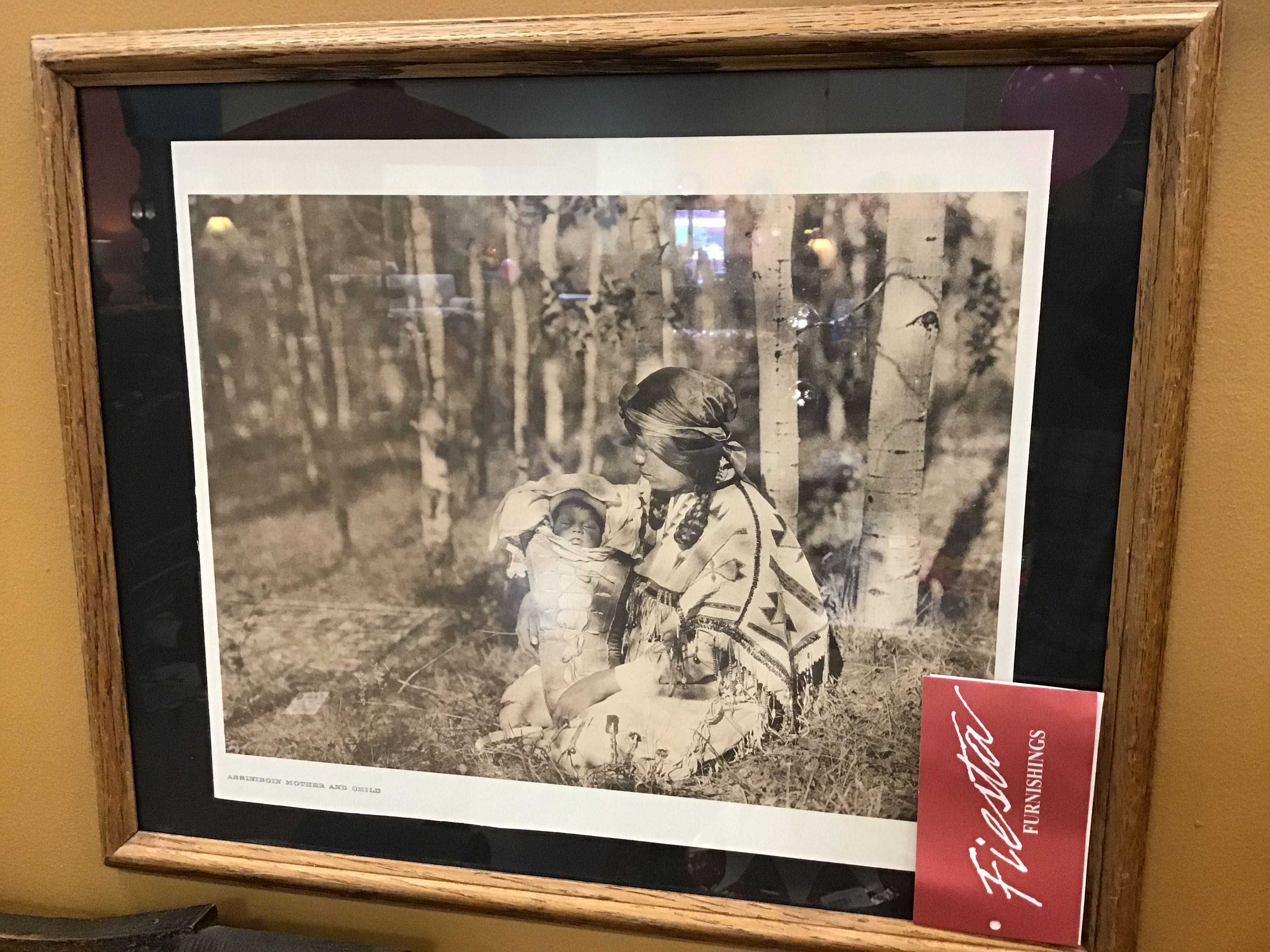 Print Edward Curtis Sepia Tone Book
