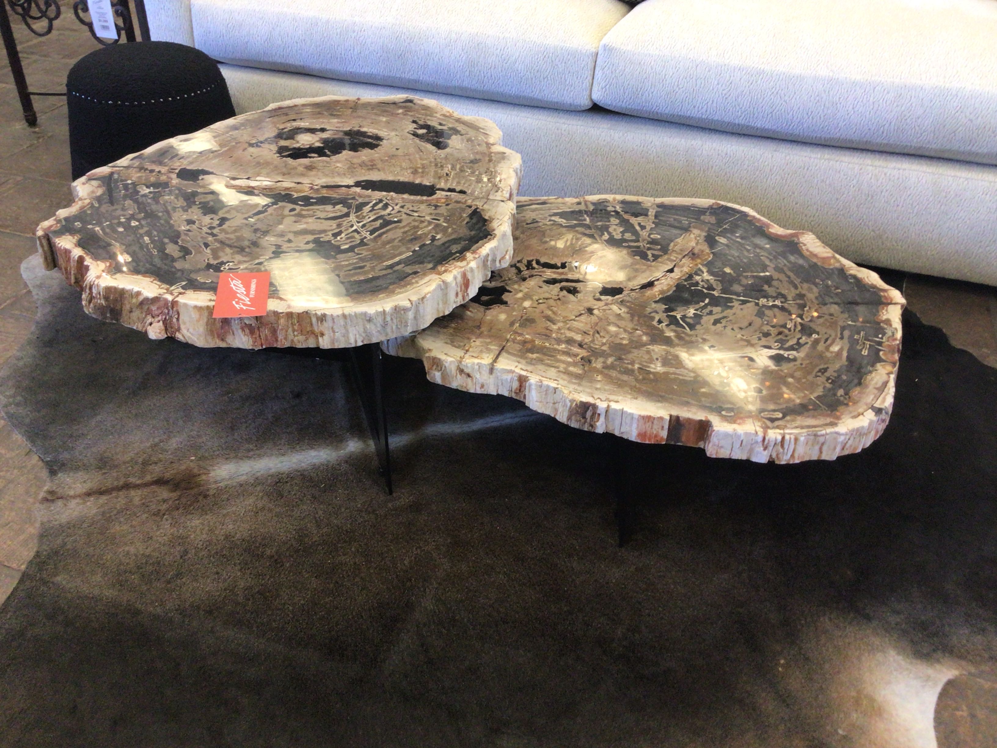 Coffee Table Petrified Wood & Iron Set Of 2