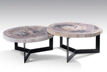 Coffee Table Petrified Wood & Iron Set Of 2