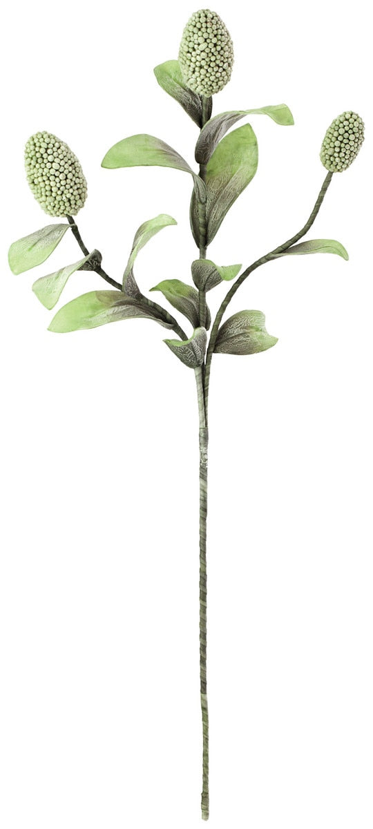 Botanica #1065
