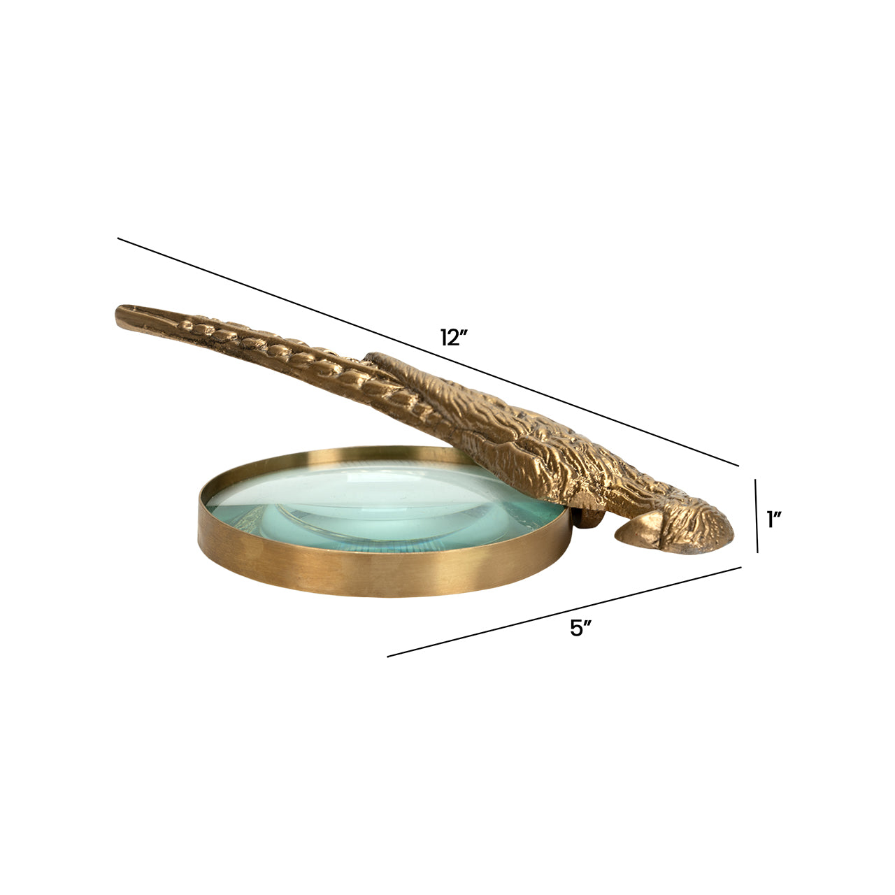 Norine Magnifying Glass