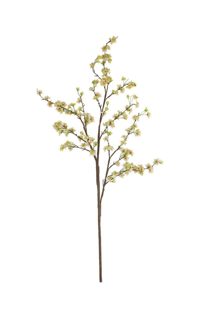 Botanica #2881