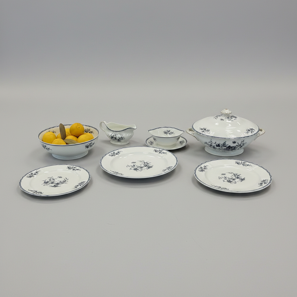 16 pc. Vintage Limoge Porcelain From France Pattern-Bernaudaud Tornai